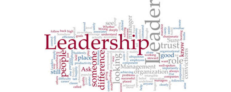 Leadership competencies